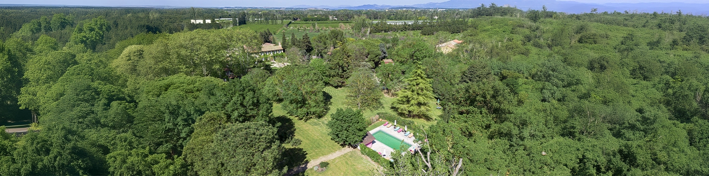 1.Entête Page Domaine.remplace celle des platanes